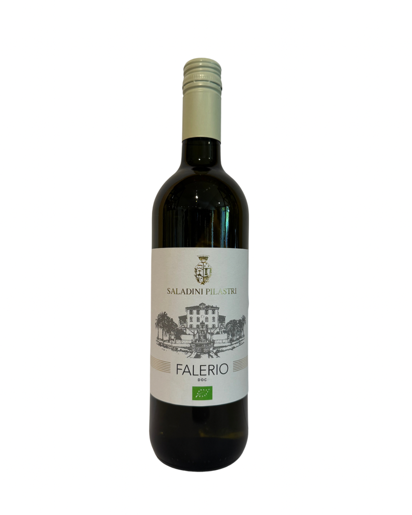 Saladini Pilastri - Falerio 2024 (screwcap) 